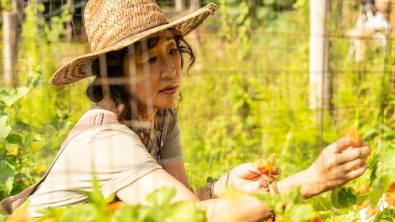 A woman in a white shirt and a straw hat picks flowers by a fence