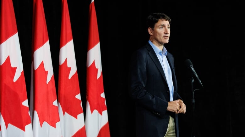 A man in a jacket speaks into a microphone in front of a row of Canadian flags.