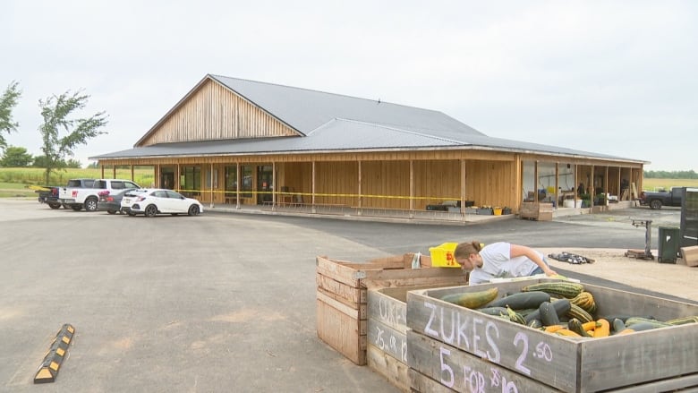 A wooden building is the background as a person leans over a create of cucumbers.