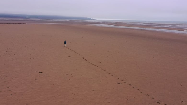 A drone shot of a man walking along a red sandy beach leaving a line of footprints behind him.