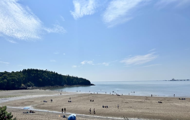 People walk and sit on a sandy beach shore on a sunny day.