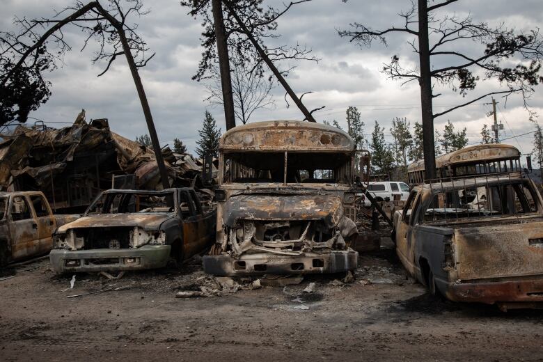 Burnt school busses and cars are seen in an outdoor lot. 