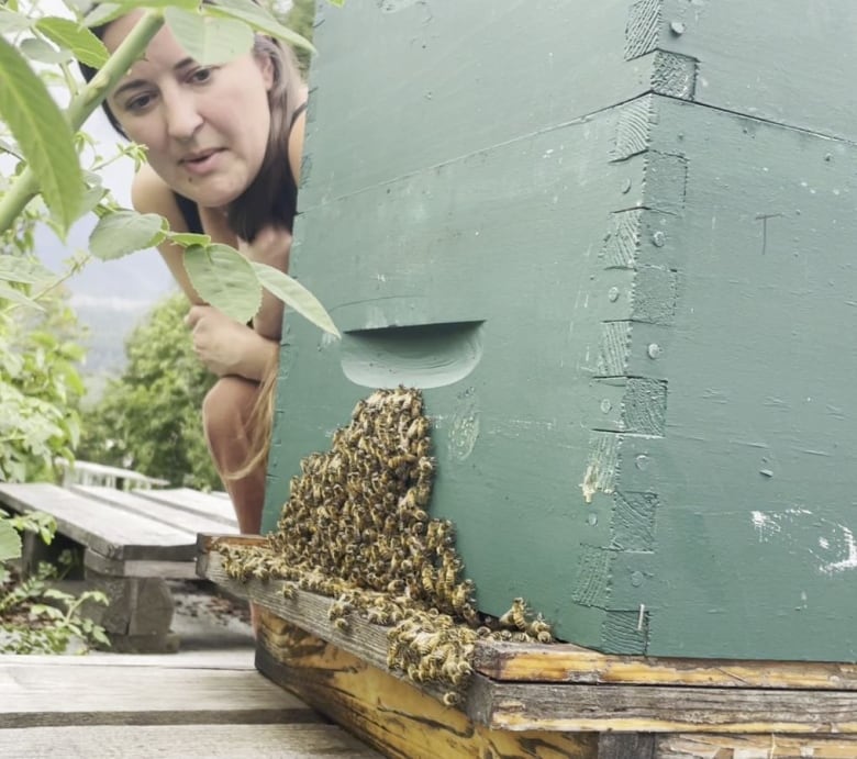 A woman peeks from behind a beehive looking at a swarm of bees near the bottom of the hive.