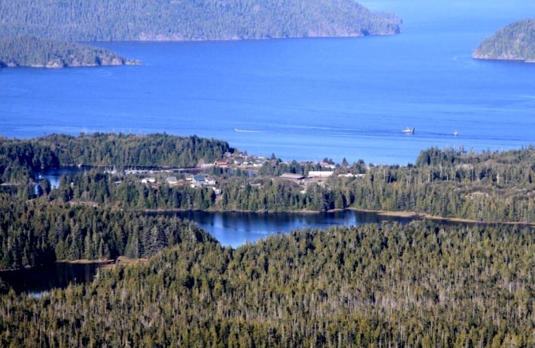 A small oceanside community surrounded by forest is pictured on a sunny day.