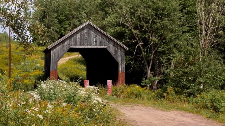 A dirt path surrounded by trees and wildflowers leads to a covered bridge made of wood.