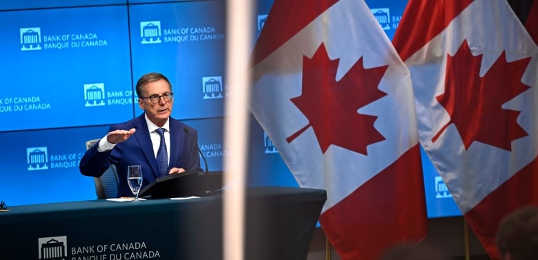 A man in a suit sits at a broad desk with two Canadian flags off to the side.