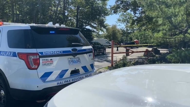 Police vehicles in front of a tree-lined entry with police tape.