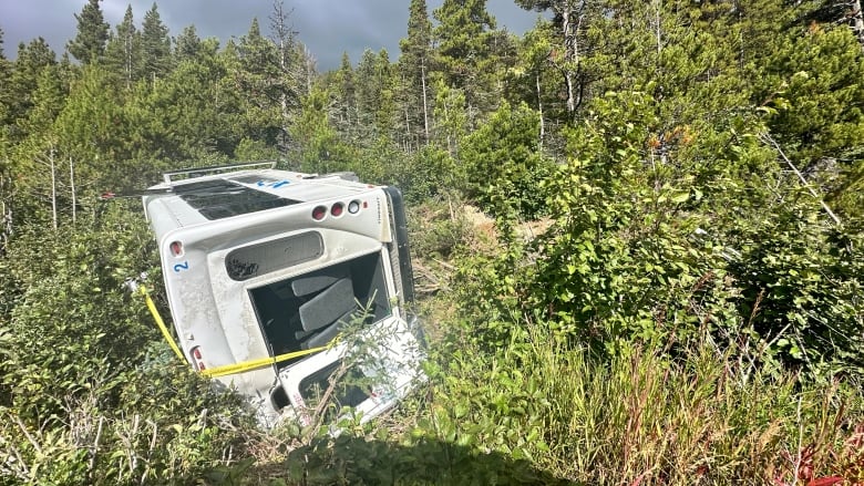 a white bus sits on its side amongst trees and shrubs.