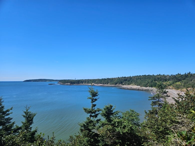 A shoreline heavy with trees stretches out before blue water.