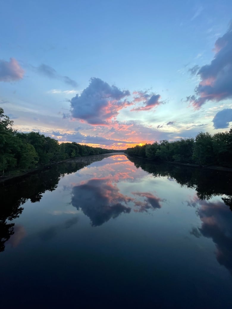 A river bordered by green trees reflects a pink sunrise.