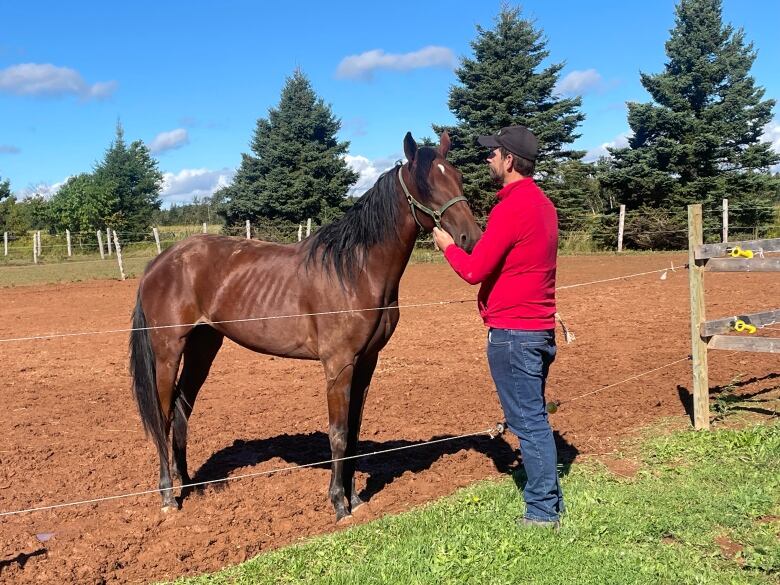 A man in a red jacket with a horse in a fenced paddock 