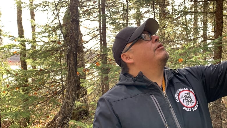 A man wearing glasses and a ball cap stands among some trees 