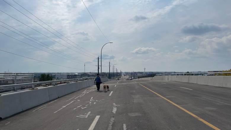 A person walks a dog across a road with side barriers. 