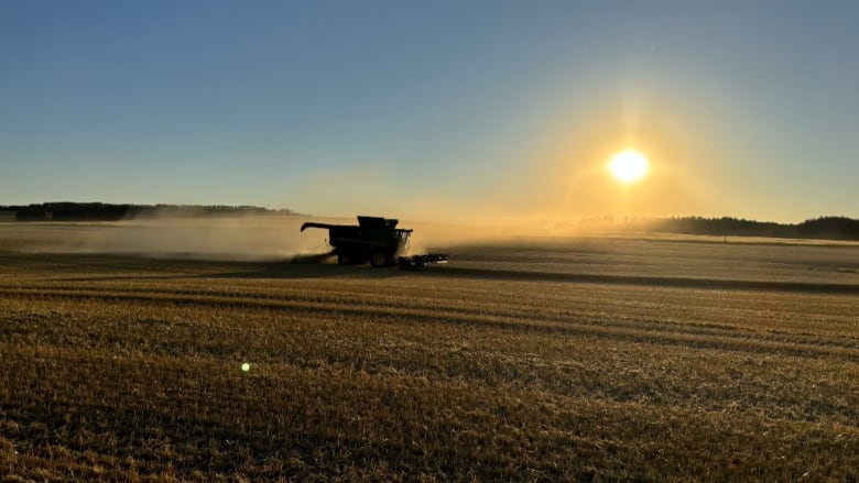 A harvester is seen working a field with a sunset in the background.