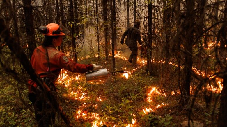 A firefighter uses a flame torch to light an area in a wood, with another visible in the background.