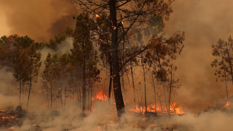 A view of a burning area during a wildfire is seen in Sao Pedro do Sul, Portugal.