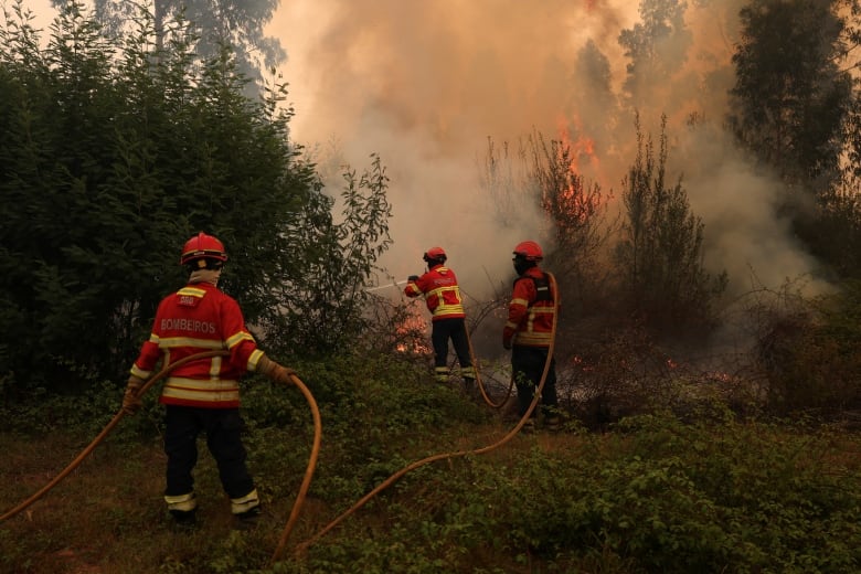 Firefighters are seen trying to extinguish a wildfire in Agueda, Portugal.