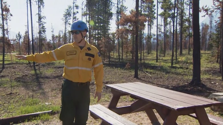 A man wearing a blue safety helmet, yellow jacket and military-green pants, is standing outside in a wooded area, beside a picnic table.