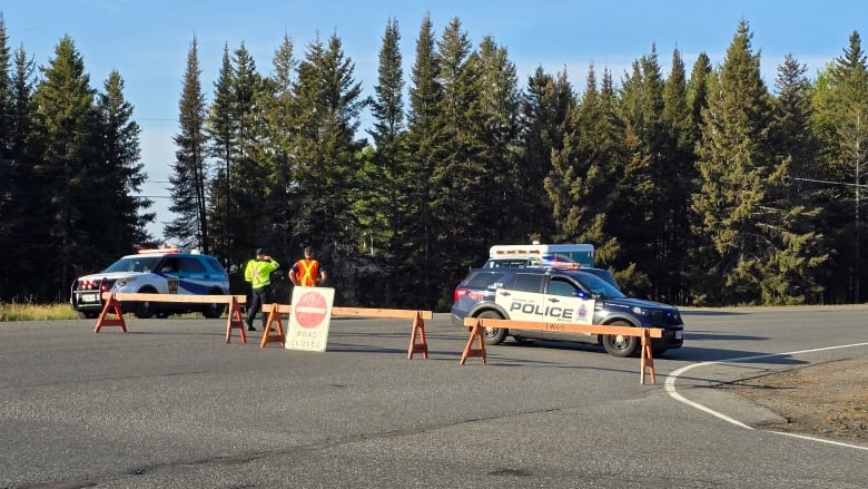 Police at a road blockade.