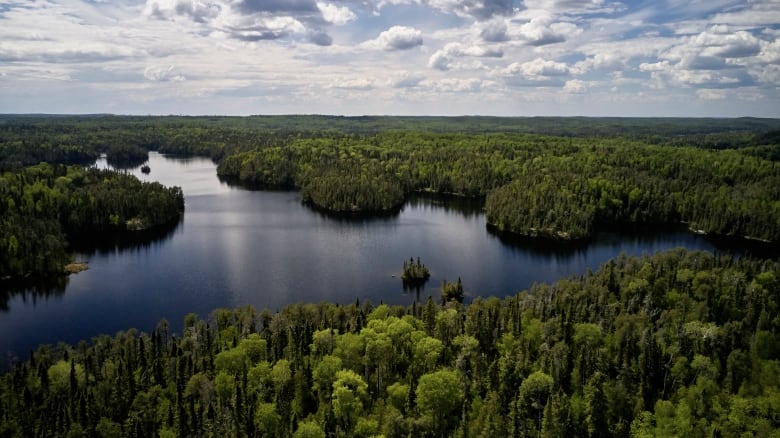 The NRDC argues that sourcing toilet paper from Canada's forests is not a sustainable use of the important resource.