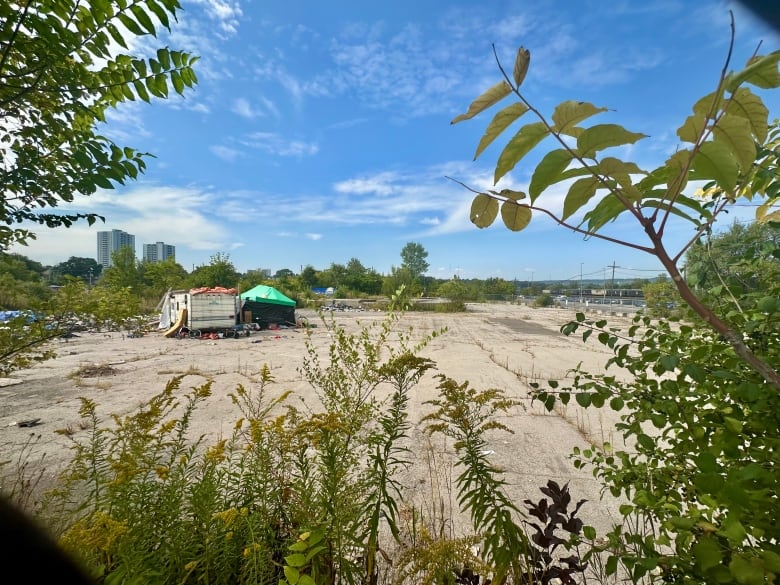 A plot of land surrounded by vegetation. A tent and an RV sit on the left side of it.