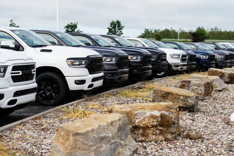 A lineup of cars. 