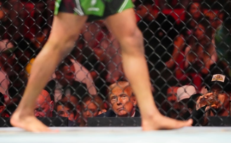 Trump watching a fight through a cage