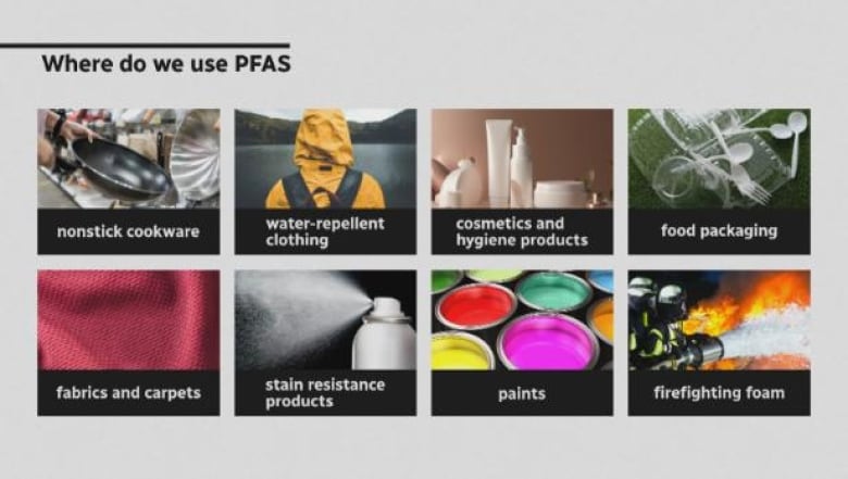 A list of things containing PFAS