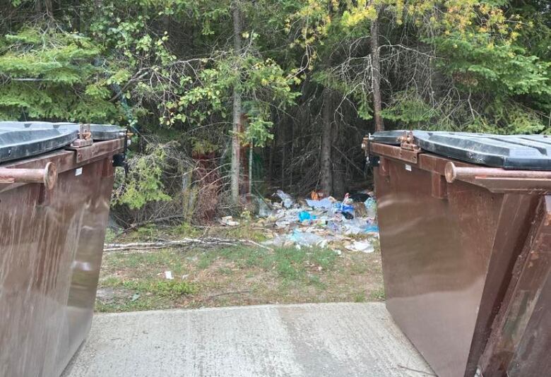 A mound of trash behind two large brown garbage bins. 