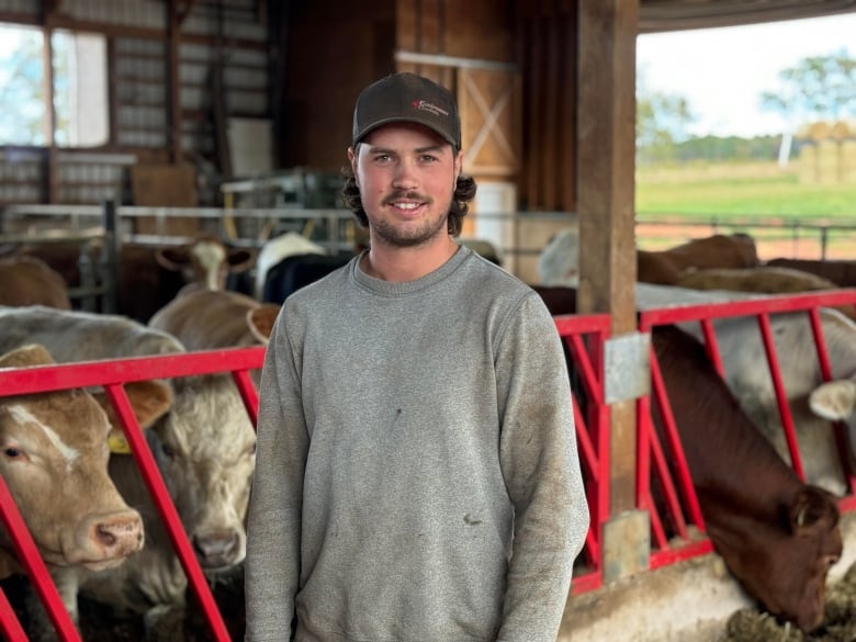 A young man in a ballcap stands in a cattle barn  