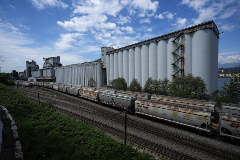 Rail cars beside a large grey grain terminal under a blue, slightly cloudy sky.