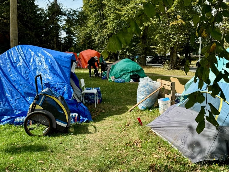 A group of tents in a grassy area