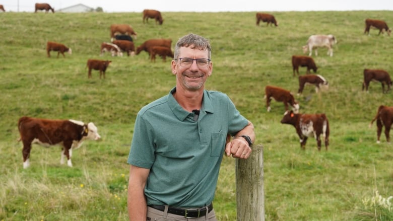 Man posing in front of a fence. Cows graze in the background. 