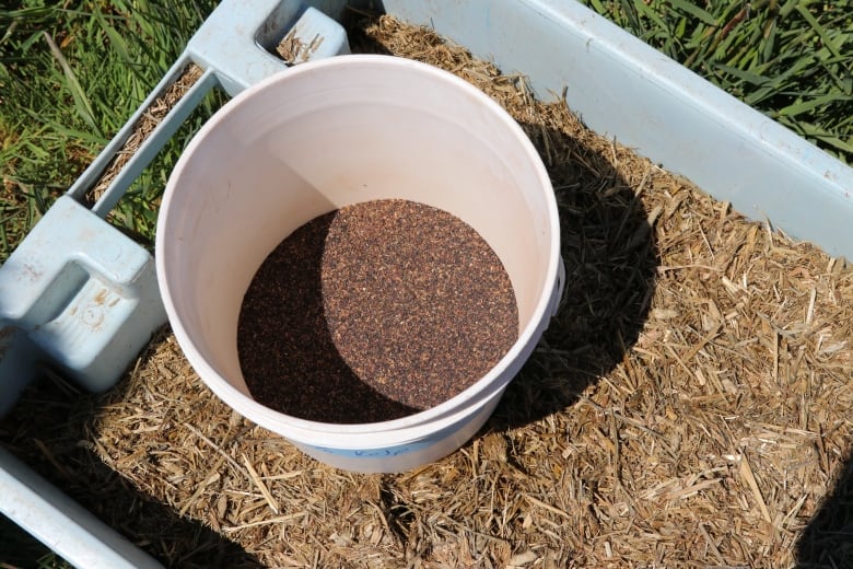 A bucket with food. 