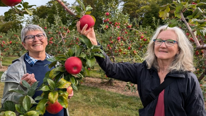 Two women in an apple orchard 