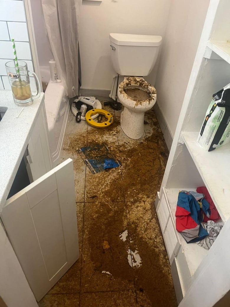 Bathroom with poop all over the floor 