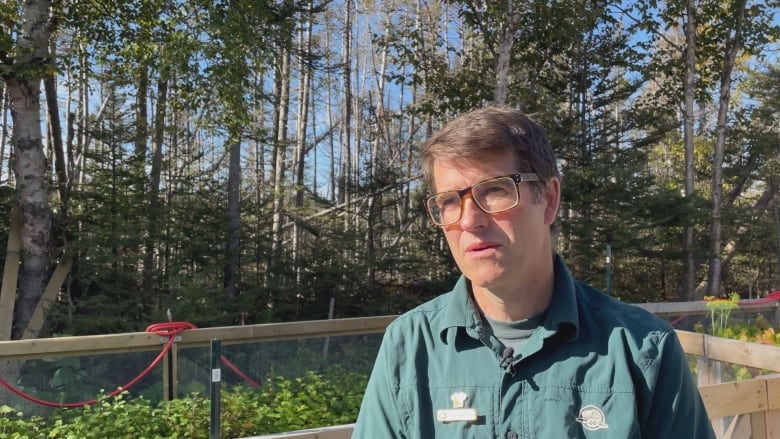 A man in a green shirt with glasses stands in front of some plants. 