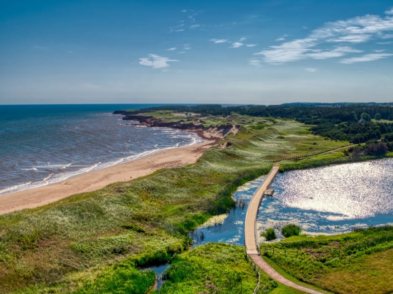 Aerial view of P.E.I. shoreline.