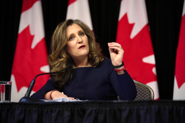 Deputy Prime Minister and Finance Minister Chrystia Freeland is seen speaking to media. 