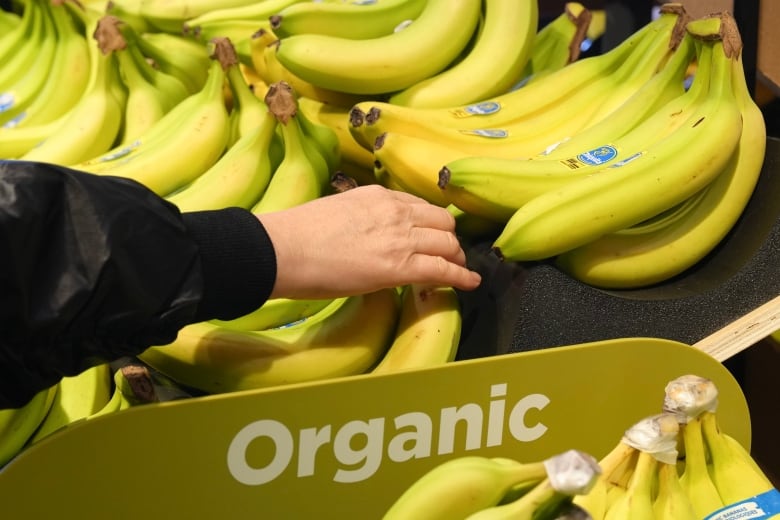 A hand reaches for a bunch of bananas at a grocery store.