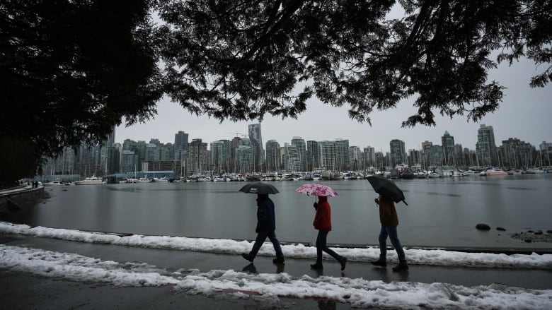 People walking along a snowy path along the ocean. 