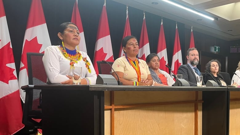 People are seated at a press conference with Canadian flags behind them.