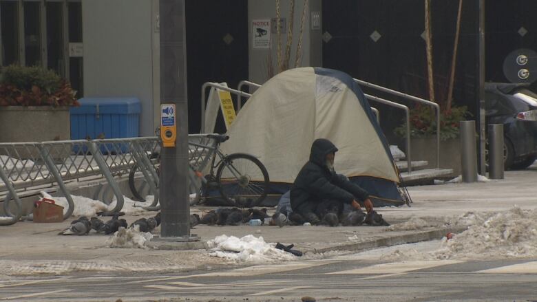 A homeless on a sidewalk with a tent in downtown Windsor.