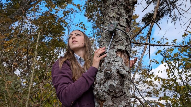 A woman leans against a tree 