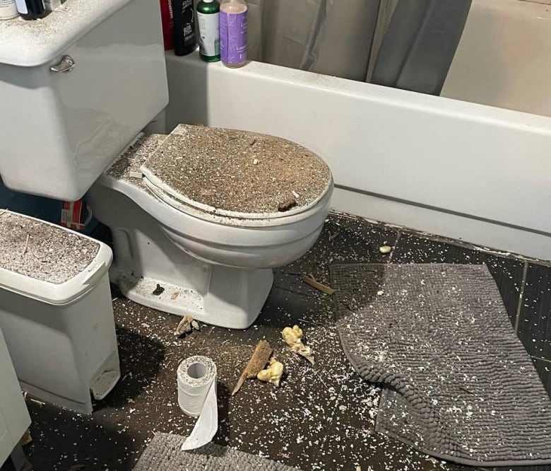 debris in a bathroom