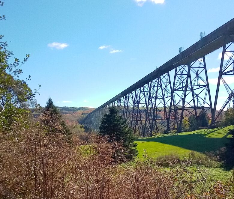 A train bridge spans a green field, reaching high above trees bright with changing colours.