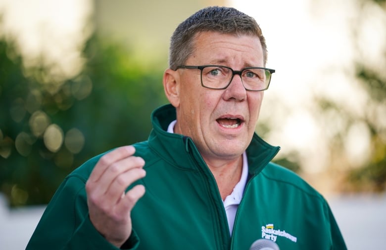 A man with glasses in a green fall pullover speaks into a microphone.