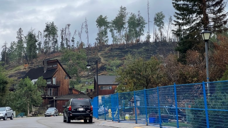 A view of burned trees on a hill, with a house and blue fence around more fire damage in the foreground.