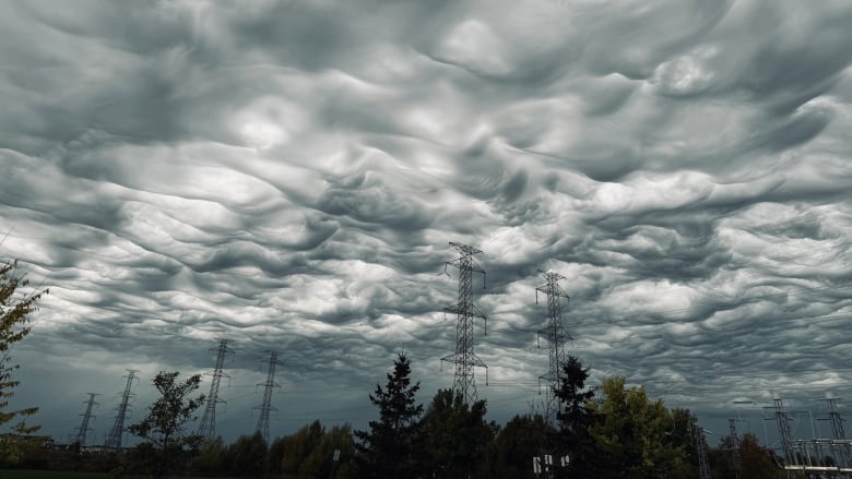 Tall metal electricity towers surrounded by trees. The sky is coated in clouds that wave and bump in strange ways.