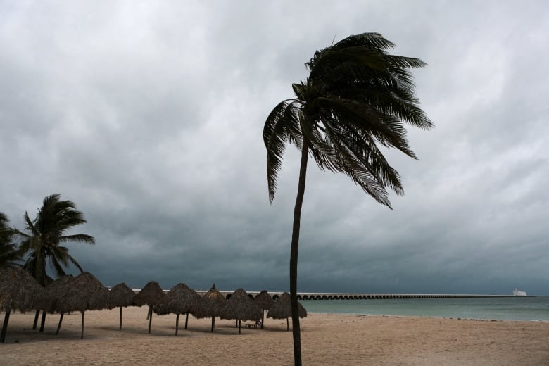 A stormy beach